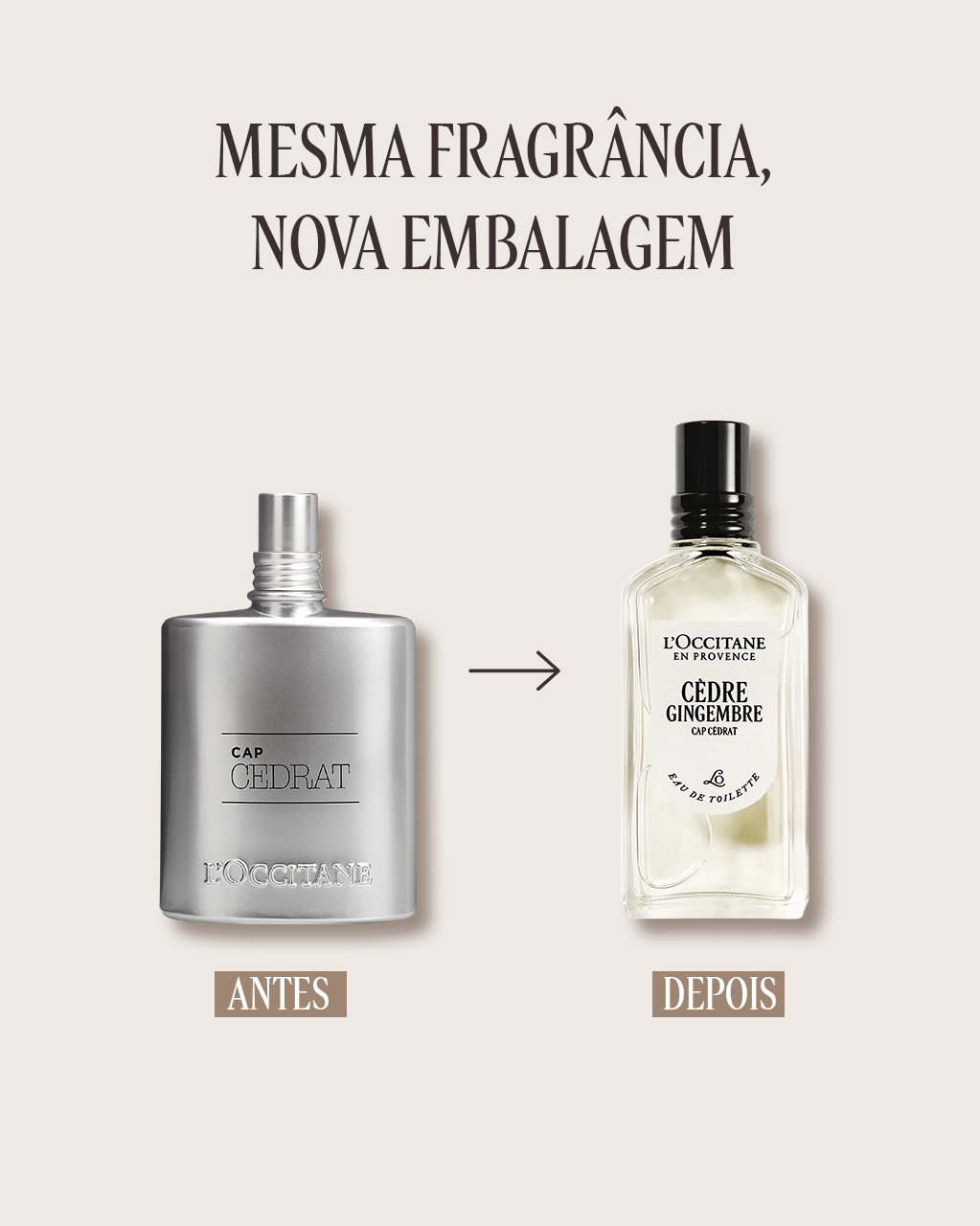 Eau de Toilette Cèdre Gingembre 50mL (Cap Cedrat) | L'Occitane en
